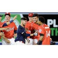 Tri-City Dust Devil Peter Van Gansen, Northwest League Teammates Celebrate Win
