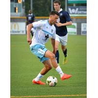 Wilmington Hammerheads Forward Nick Zimmerman