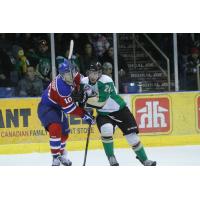 Forward Collin Valcourt with the Prince Albert Raiders