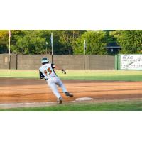 Green Bay Bullfrogs Round the Bases