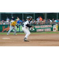 Robb Paller of the Green Bay Bullfrogs