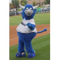 Tulsa Drillers Mascot Hornsby
