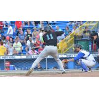 Slade Heggen of the Rochester Honkers