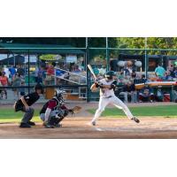 Green Bay Bullfrogs Batting