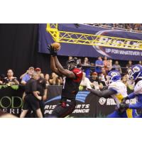 Orlando Predators WR Larry Brackins vs. the Tampa Bay Storm