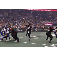 Orlando Predators QB Randy Hippeard vs. the Tampa Bay Storm