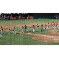 Long Island Ducks Give High Fives at Sugar Land