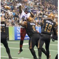 Portland Thunder vs. Arizona Rattlers