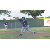 Rochester Honkers Pitcher Jayson Yano