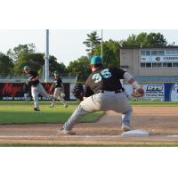 Rochester Honkers in Action