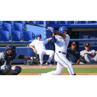 Derrick Loveless of the Dunedin Blue Jays