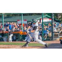 Brian Celsi of the Green Bay Bullfrogs
