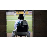 Ricky Delgado of the Rochester Honkers Stares from the Dugout
