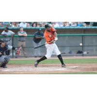 Fehlandt Lentini of the Long Island Ducks