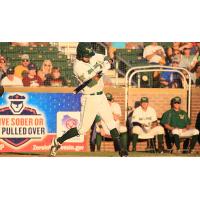 Madison Mallards at Bat
