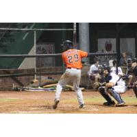 Daz Cameron of the Greeneville Astros