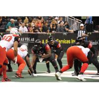 Orlando Predators QB Randy Hippeard vs. the Jacksonville Sharks