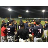 Lexington County Blowfish Gather after Season-Ending Loss