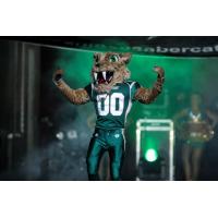 San Jose SaberCats Mascot