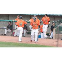 Long Island Ducks Dugout Celebration