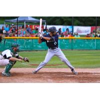 Newark Pilots Shortstop Cody Wiktorski