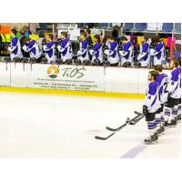 Lone Star Brahmas Lineup