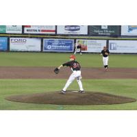 Washington Wild Things Pitcher Luke Wilkins