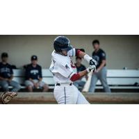 St. Cloud Rox at the Plate