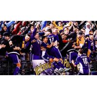 Louisville City FC Celebrates with Fans