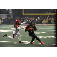 Orlando Predators WR Brandon Thompkins vs. the Jacksonville Sharks