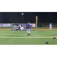 Kenosha Kingfish Celebrate Northwoods League Summer Collegiate World Series Victory