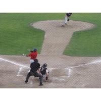 Ben Gamba of the Kelowna Falcons at Bat