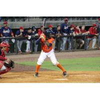 Luis Payano of the Greeneville Astros
