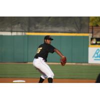 West Virginia Power Pitcher Stephen Tarpley