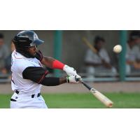 Ruben Sosa of the Arkansas Travelers