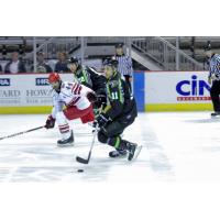 Forward Benjamin Rubin with the Louisiana IceGators