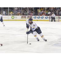 Toledo Walleye Forward Shane Berschbach