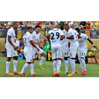 Fort Lauderdale Strikers Celebrate with Stefano Pinho