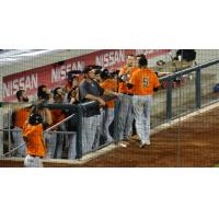Long Island Ducks Offer High Fives in the Dugout