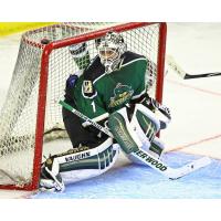 Goaltender Adam Courchaine with the Mississippi RiverKings