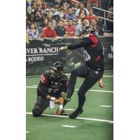 Orlando Predators Kicker Mark Lewis