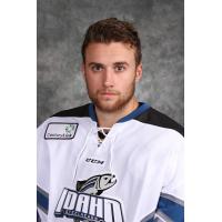 Idaho Steelheads Forward Colton Beck