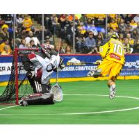 Georgia Swarm Defenseman Alex Crepinsek