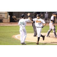Anthony Vega of the Long Island Ducks Complete his Homer Trot