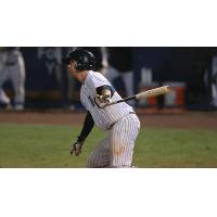 Kyle Higashioka of the Tampa Yankees