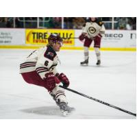 Jared Brandt of the Minot Minotauros