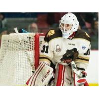 Kenai River Brown Bears Goaltender Evan Hauser