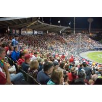 Record Reading Fightin Phils Crowd at FirstEnergy Stadium