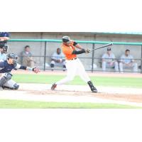 Delta Cleary, Jr. of the Long Island Ducks