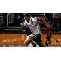 Rochester Rhinos vs. Harrisburg City Islanders